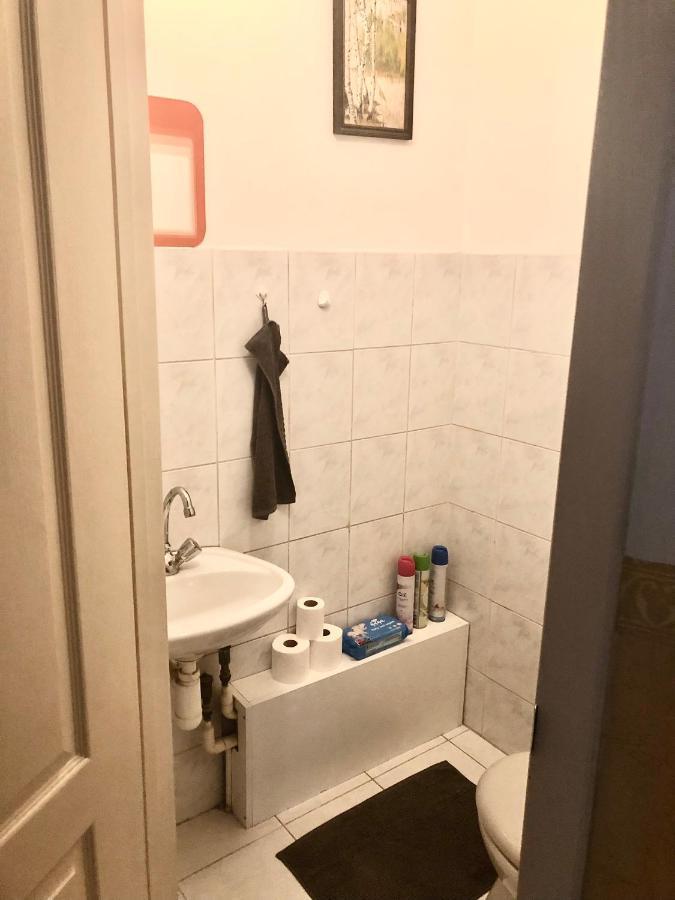 Large Apartment With Garage And Terrace بودابست المظهر الخارجي الصورة